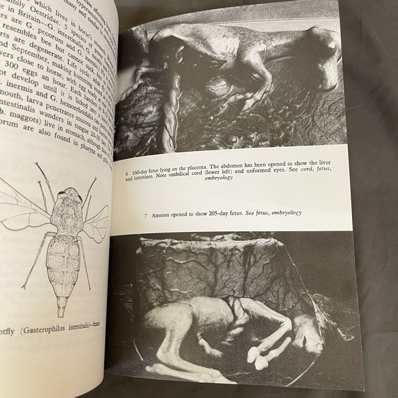 The Horse’s Health From A to Z An Equine Veterinary Dictionary 1978 - Picture 11 of 16